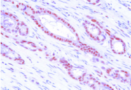 AM09067PU-N - MAT2A