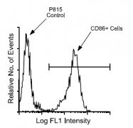 AM08084FC-N - CD86