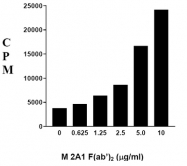 AM08096PU-N - Rat IgM