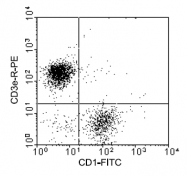 AM08103FC-N - CD1a