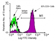 AM08104FC-N - CD3