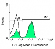 AM08105BT-N - CD3