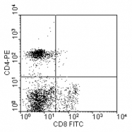 AM08107FC-N - CD8