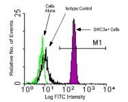 AM08108FC-N - Granulocytes