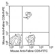 AM08112RP-N - CD8