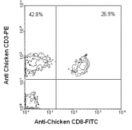 AM08114RP-N - CD3