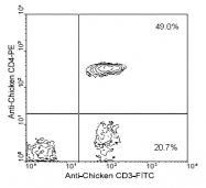 AM08115RP-N - CD4