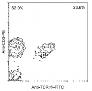 AM08117FC-N - T Cell Receptor (TCR) gamma/delta