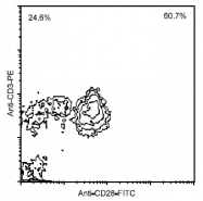 AM08121FC-N - CD28