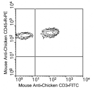 AM08122RP-N - CD45 / LCA