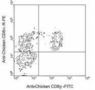 AM08123FC-N - CD8 beta