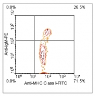 AM08130FC-N - MHC Class I