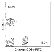 AM08138FC-N - CD8