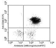 AM08140RP-N - CD44