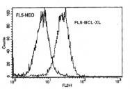 AM08172PU-N - Bcl-2-like 1