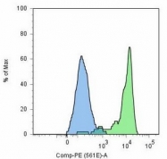 AM03114PU-N - PSMA / FOLH1