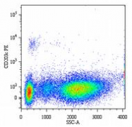 AM12003PE-N - CD203c / ENPP3