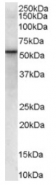 AP16388PU-N - VPS45