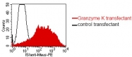 DM1209 - Granzyme K (GZMK)