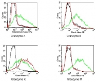 DM1209 - Granzyme K (GZMK)