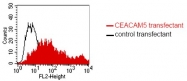 DM1215 - CD66e / CEACAM5