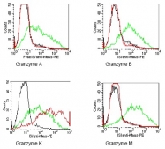 DM1214 - Granzyme K (GZMK)