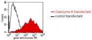 DM1213 - Granzyme K (GZMK)