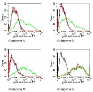 DM1213 - Granzyme K (GZMK)