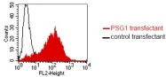 DM1211 - CD66f / PSG1