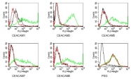 DM1211 - CD66f / PSG1