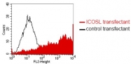 DM1200 - CD275 / ICOS Ligand