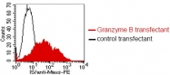 DM1208 - Granzyme B (GZMB)