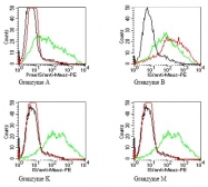 DM1208 - Granzyme B (GZMB)