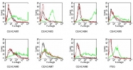 DM1207 - CEACAM7