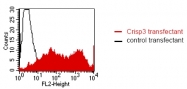 DM1217 - CRISP3