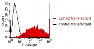 DM1226 - EPHA2 / ECK