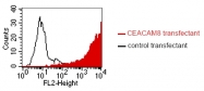 DM1229 - CD66b / CEACAM8