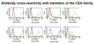 DM1229 - CD66b / CEACAM8