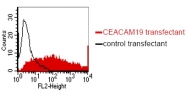 DM1230 - CEACAM19