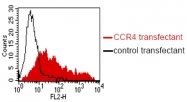 DM1232 - CD194 / CCR4