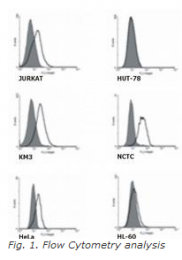 SM3132RP - TNFRSF21 / Death receptor 6 (DR6)