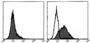 AM20011AF-N - Integrin alpha-7 / ITGA7