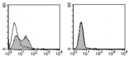 AM20011FC-N - Integrin alpha-7 / ITGA7