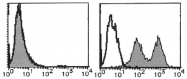 AM20011RP-N - Integrin alpha-7 / ITGA7