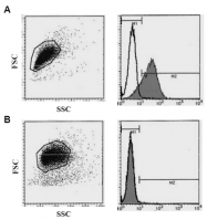 AM20043FC-N - CD138 / Syndecan-1