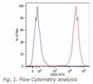 SM3018BT - CD34