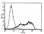 AM20114PU-N - TNFRSF21 / Death receptor 6 (DR6)