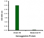 AM20120PU-N - Influenza A H5N1