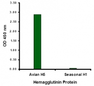 AM20121PU-N - Influenza A H5N1