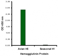 AM20122PU-N - Influenza A H5N1